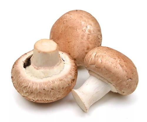 吃瓜网曝揭秘黑料蘑菇入口