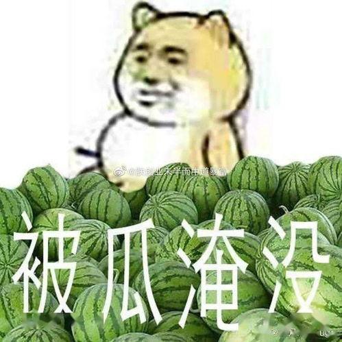 吃瓜黑料正能量爆料群,网络舆论的正能量守护者