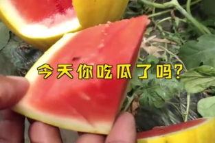 155fun吃瓜热门大瓜黑料